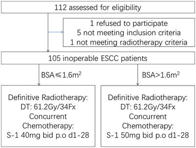 Long-Term Results of a Phase 2 Study of Definitive Chemoradiation Therapy Using S-1 for Esophageal Squamous Cell Carcinoma Patients Who Were Elderly or With Serious Comorbidities